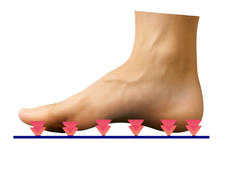 足裏全体で体重を支え、圧力が分散されている状態のイメージ
